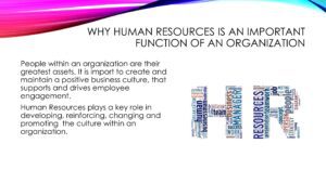 A picture of an organization with the words " human resources is an important function of an organisation ".